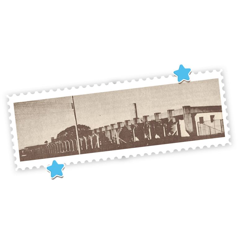 1971 - hu
